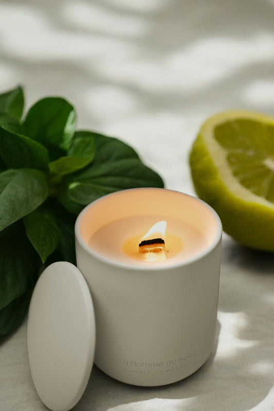 Cool Citrus Basil- Soy Woodwick Candle